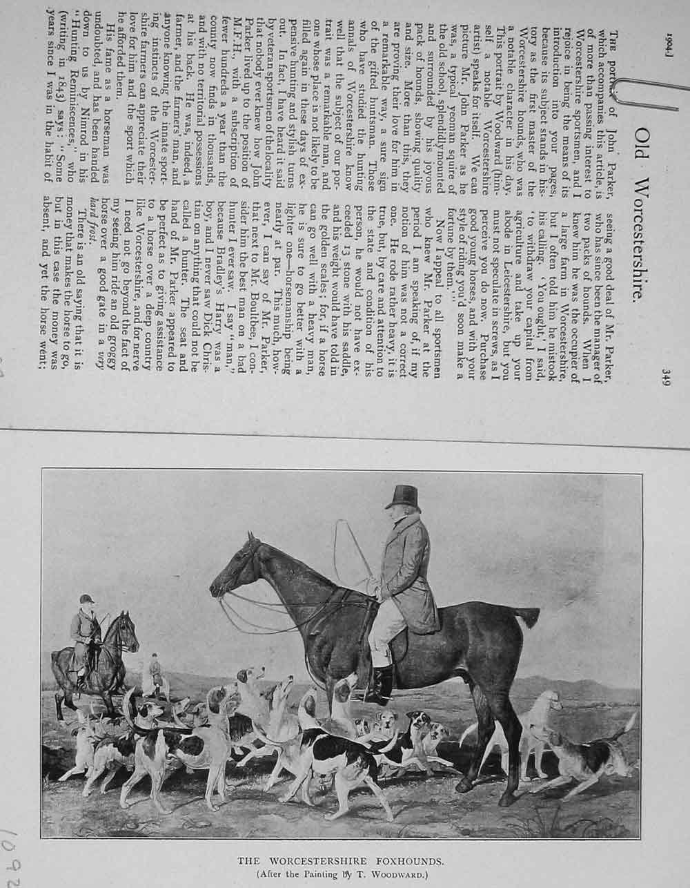 Old Antique Print 1904 Worcestershire Foxhounds Hunting Man Horse Sport 20th