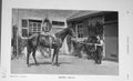 Original Old Antique Print 1904 Photograph Pretty Polly Sport Jockey 20th