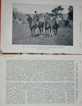 Old Antique Print *3485 1904 Portrait Colonel Anstruther Thomson Horse
