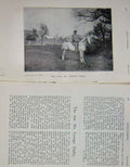 Original Old Antique Print 1904 Portrait Mr George Darby Horse Sport 20th