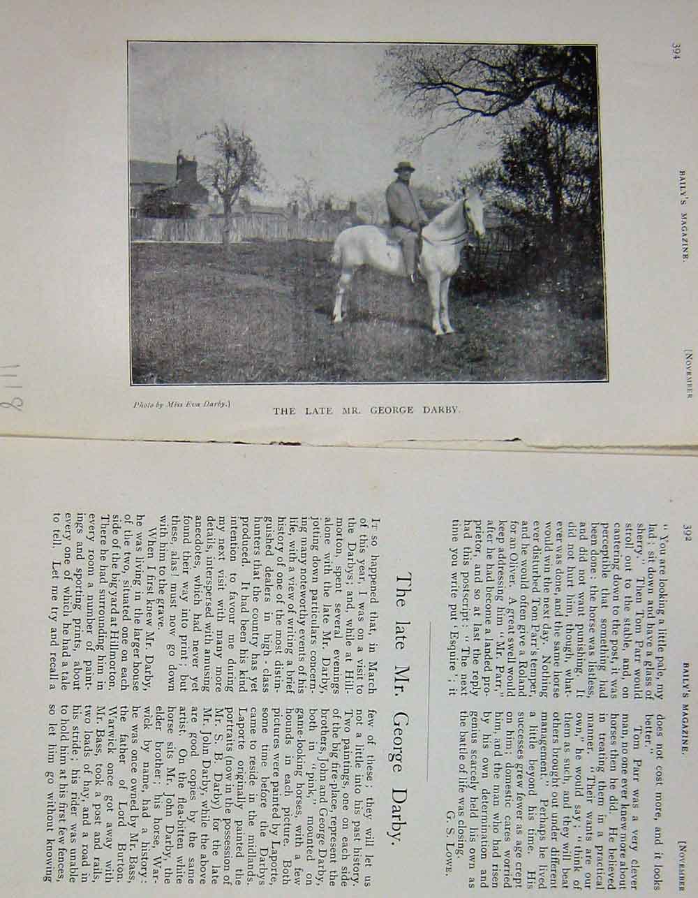 Original Old Antique Print 1904 Portrait Mr George Darby Horse Sport 20th