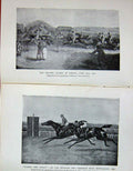 Old Antique Print 1904 Sport Tregonwell Frampton Horse Racing Polo Pony 20th