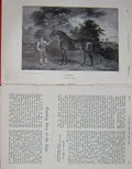 Original Old Antique Print 1904 Portrait Orville Horse Country Sport Man 20th