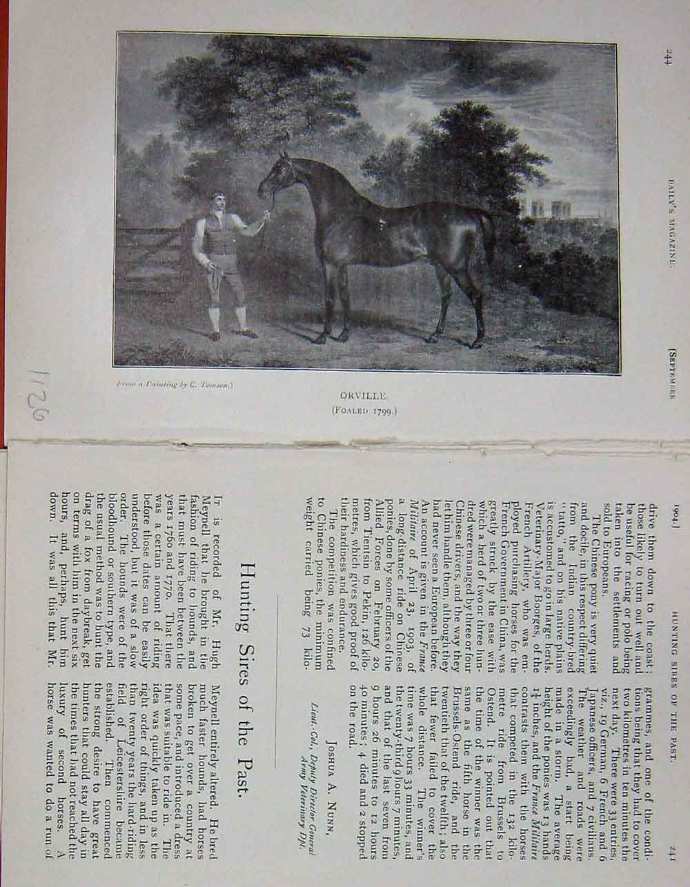 Original Old Antique Print 1904 Portrait Orville Horse Country Sport Man 20th