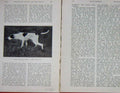 Original Old Antique Print 1904 Photograph Captain Stirling Bragg Keir Hunting
