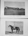Original Old Antique Print 1904 St Leger Horses Doncaster Stands Racing Sport