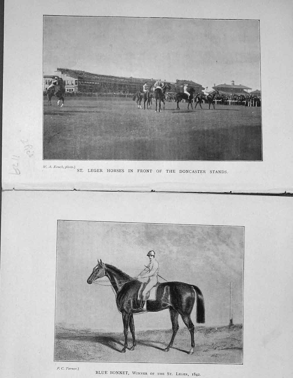 Original Old Antique Print 1904 St Leger Horses Doncaster Stands Racing Sport