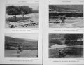 Original Old Antique Print 1904 Photograph Trout Fishing River Sport Baily'S
