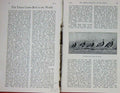 Original Old Antique Print 1904 Game Bird Hunting Quail Texas Florida Virginia
