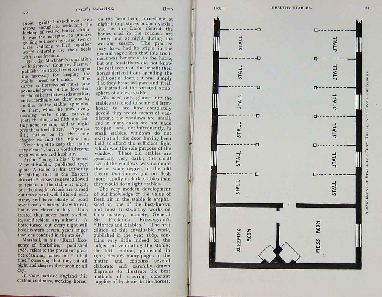 Old Antique Print 1904 Diagrams Horses Stables Plan Loose Boxes Shelter 20th
