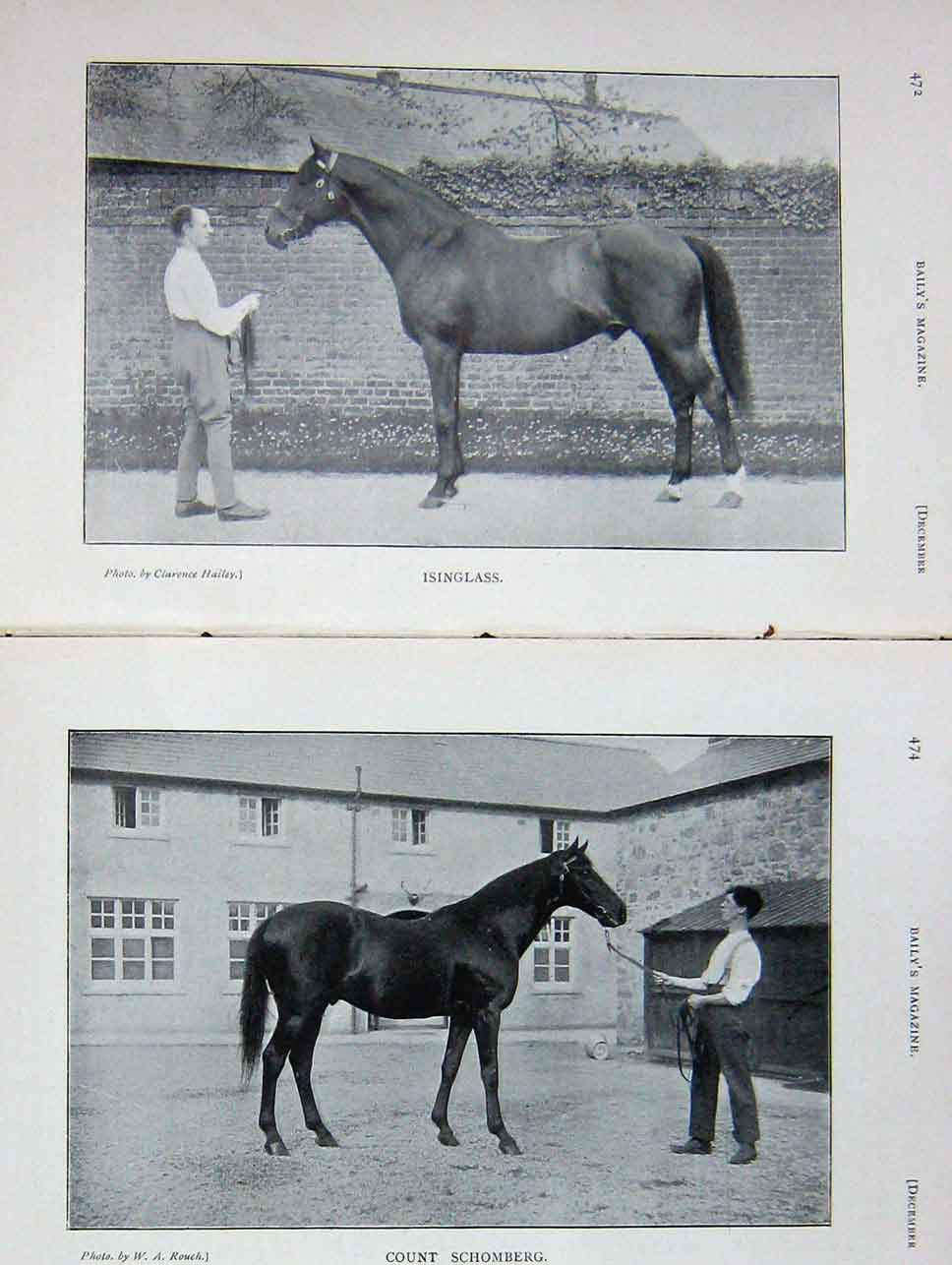 Original Old Antique Print 1905 Portrait Horse Isinglass Count Schomberg 20th