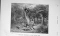 Old Antique Print 1905 Pheasant Shooting Hunting Sport Country Baily'S 20th