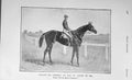 Original Old Antique Print 1905 Portrait Caller Ou St Leger Horse Racing 20th
