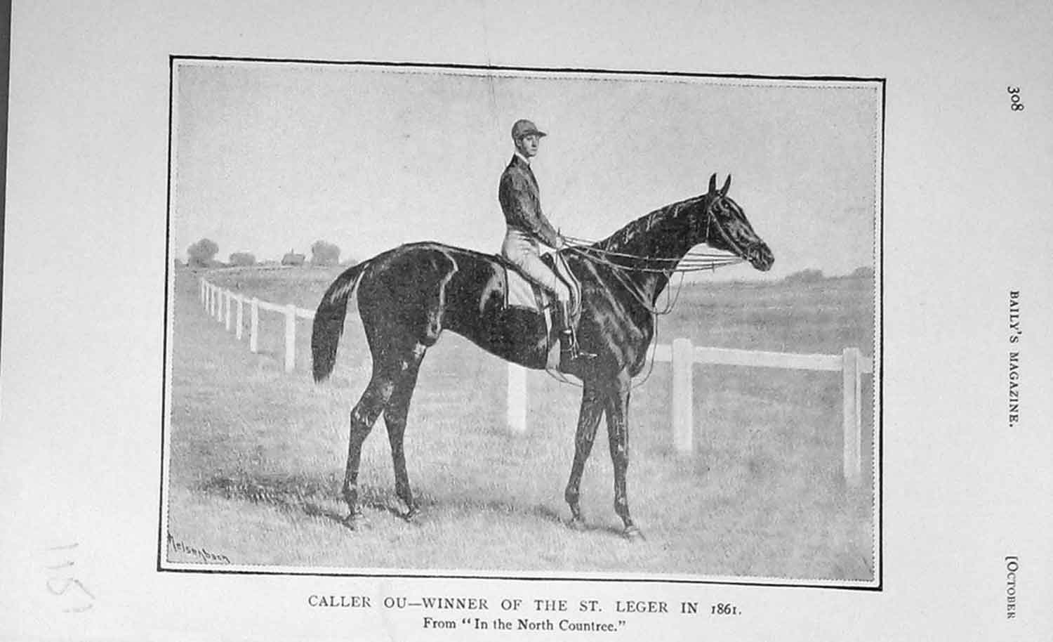 Original Old Antique Print 1905 Portrait Caller Ou St Leger Horse Racing 20th