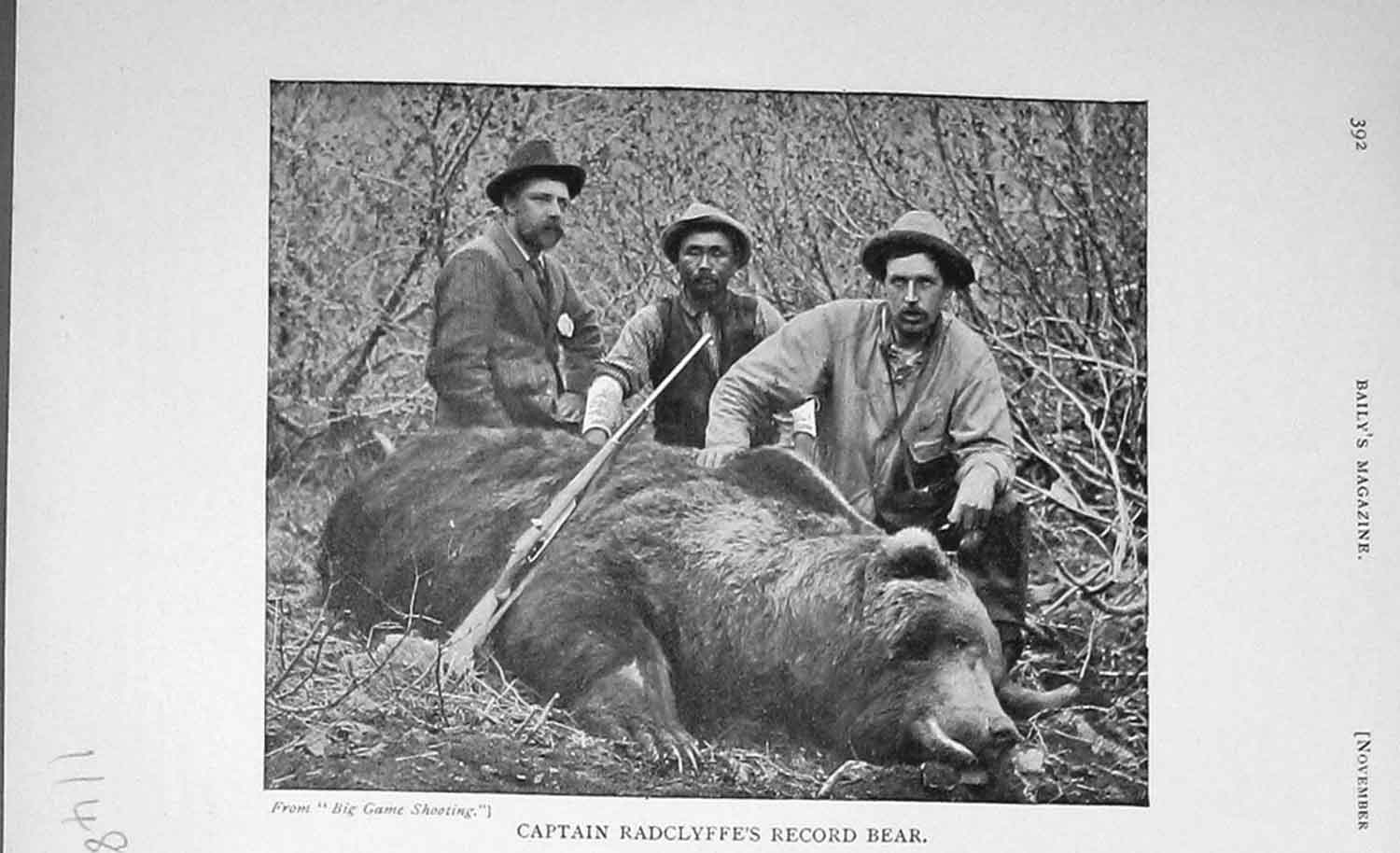 Old Antique Print 1905 Photograph Bear Hunting Captain Radclyffe Sport 20th