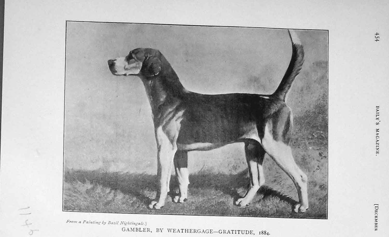 Old Antique Print 1905 Portrait Gambler Hound Dog Weathergage-Gratitude 20th