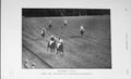 Original Old Antique Print 1905 Photograph Polo Ponies Sport Horses Baily'S