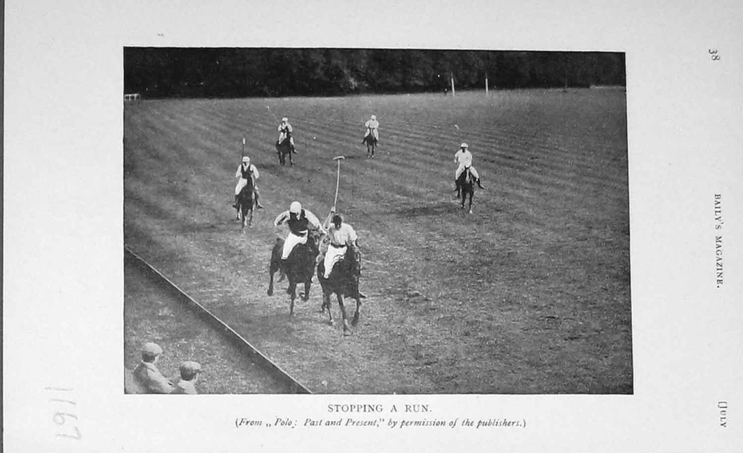 Original Old Antique Print 1905 Photograph Polo Ponies Sport Horses Baily'S