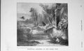 Original Old Antique Print 1905 Woodcock Shooting Hunting Country 20th Century