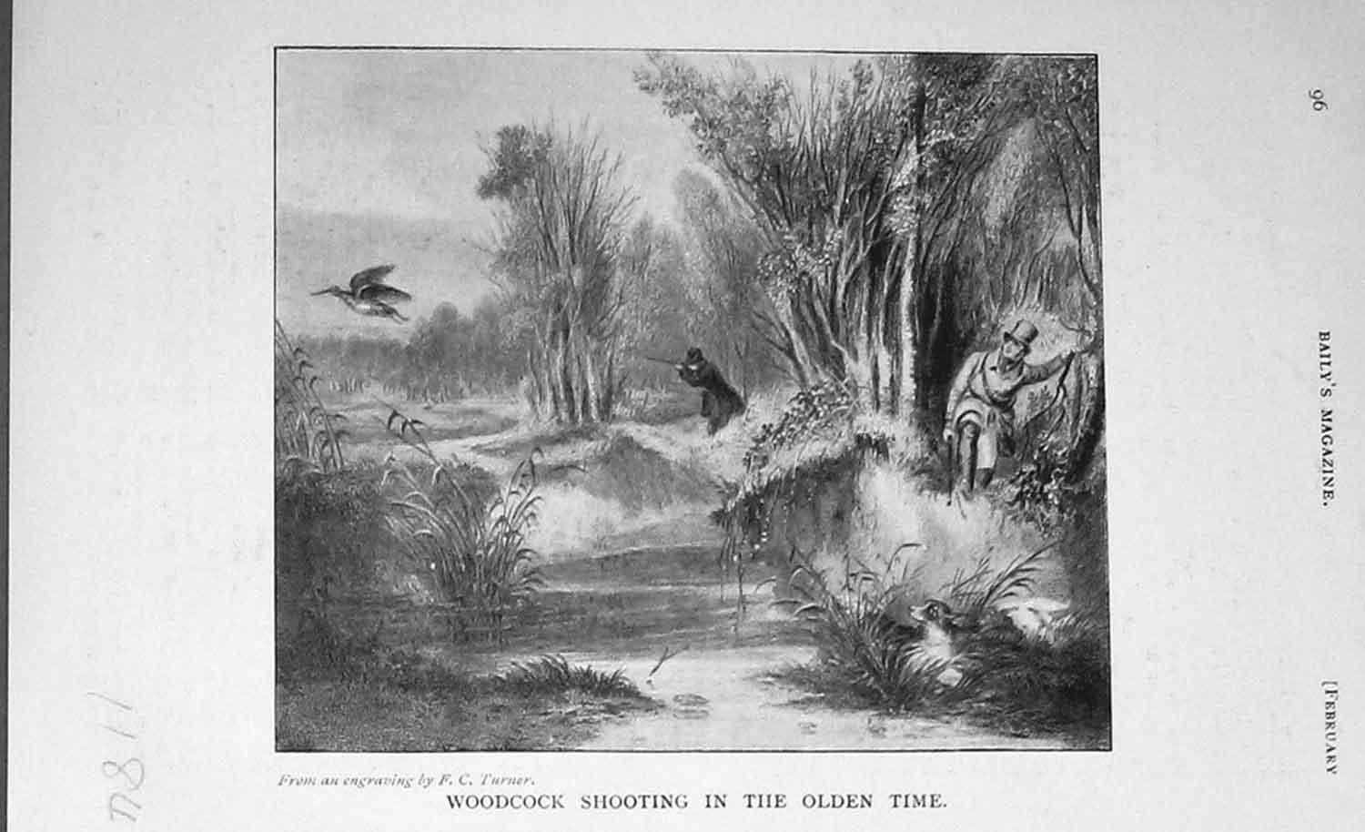Original Old Antique Print 1905 Woodcock Shooting Hunting Country 20th Century