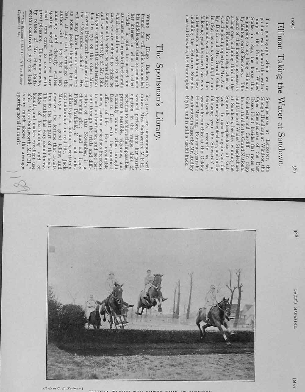 Old Antique Print 1905 Photograph Elliman Water Jump Sandown Horse Sport 20th