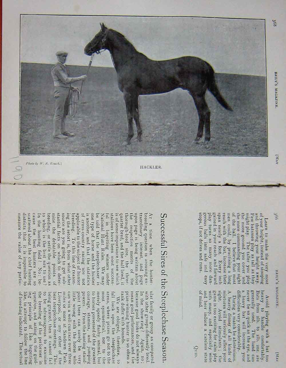 Original Old Antique Print 1905 Photograph Hackler Horse Steeplechase 20th