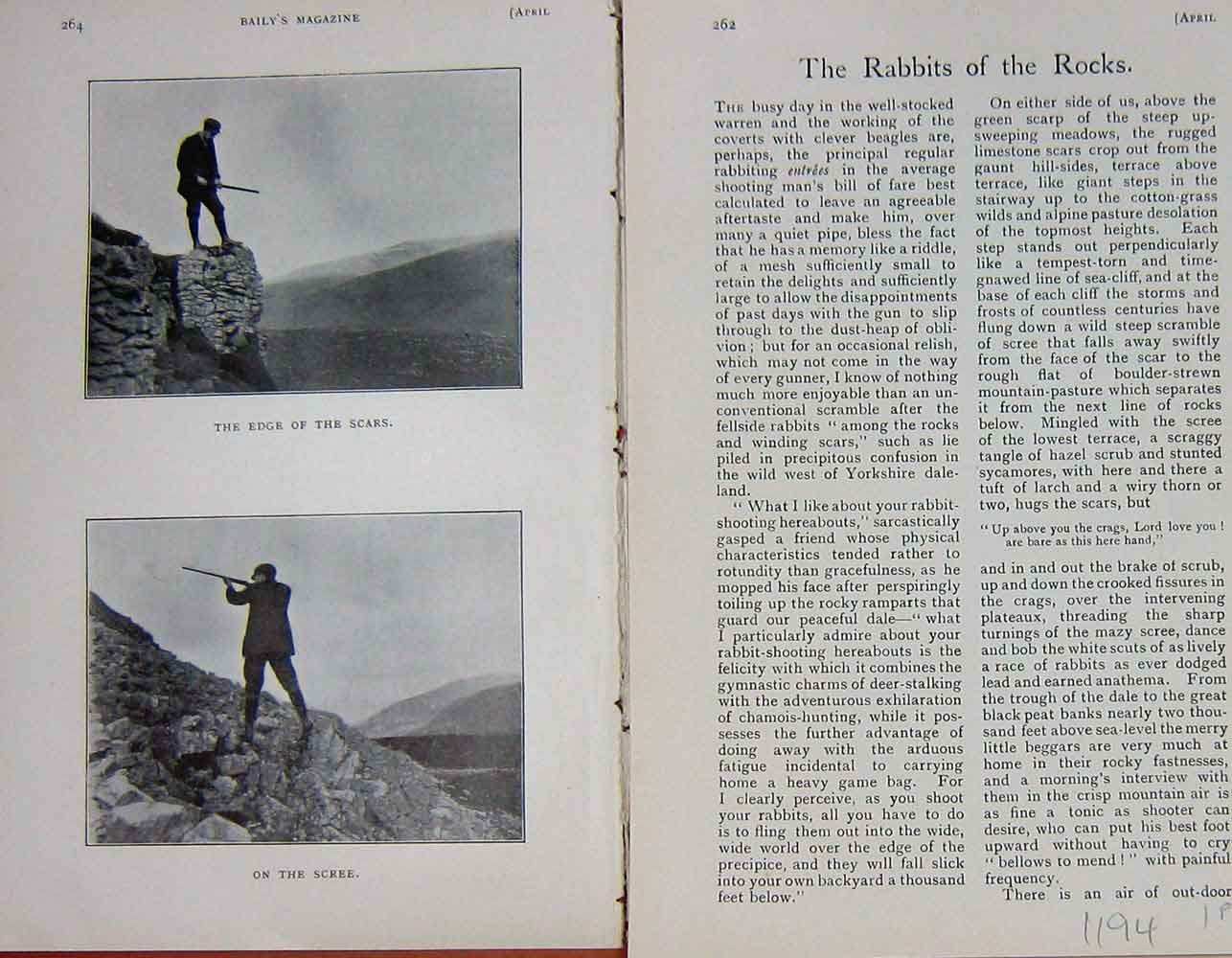 Old Antique Print 1905 Photograph Hunting Rabbits Scars Scree Shotting 20th
