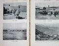 Original Old Antique Print 1905 Photograph Huanuni Bolivia Llama Animals Photo