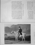 Original Old Antique Print 1905 Portrait William Worley Hampton Horse 20th