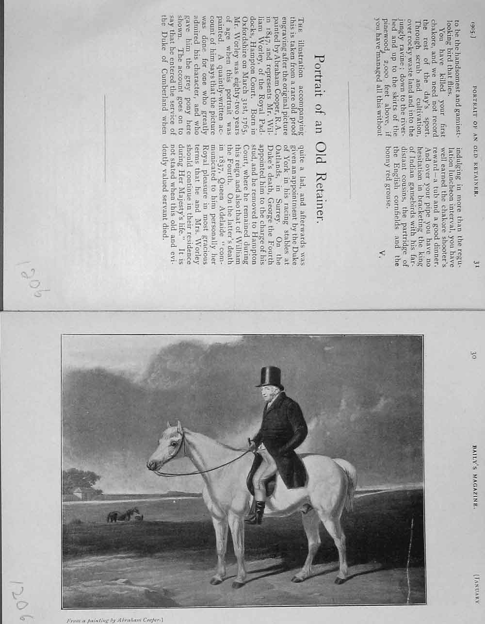 Original Old Antique Print 1905 Portrait William Worley Hampton Horse 20th