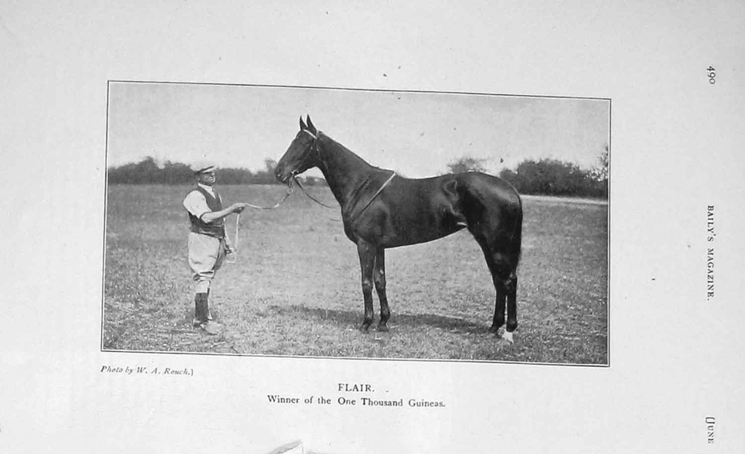 Original Old Antique Print 1906 Photograph Horse Racing Sport Flair 20th