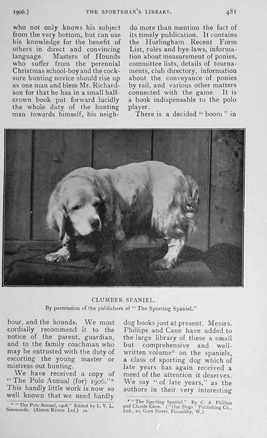 Original Old Antique Print 1906 Photograph Clumber Spaniel Dog Sport 20th