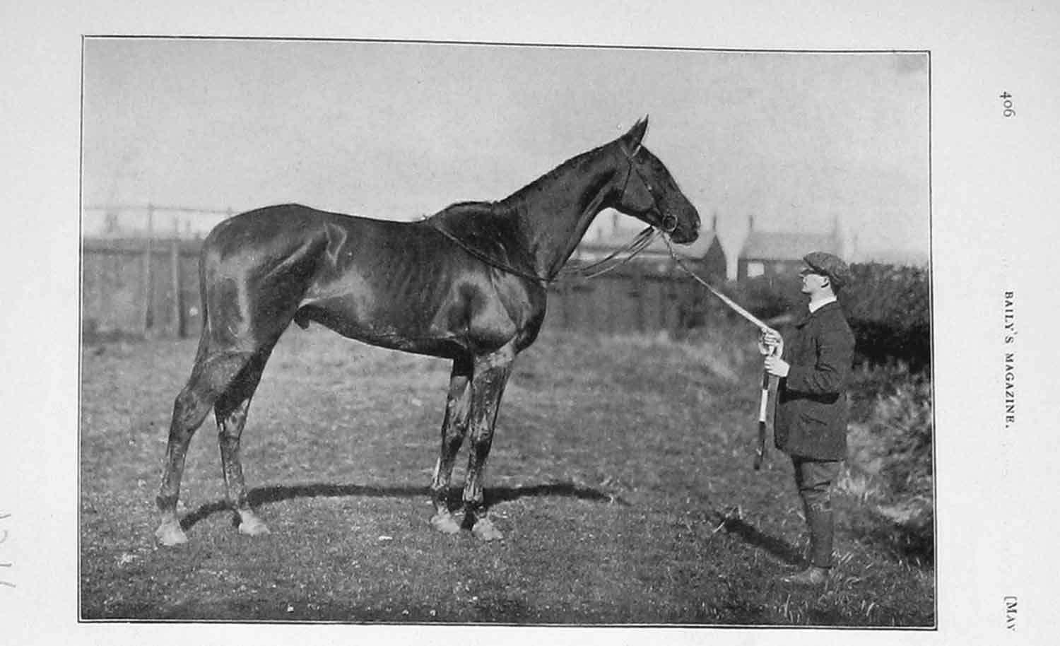 Original Old Antique Print 1906 Photograph Horse Ascetic'S Silver Sport 20th