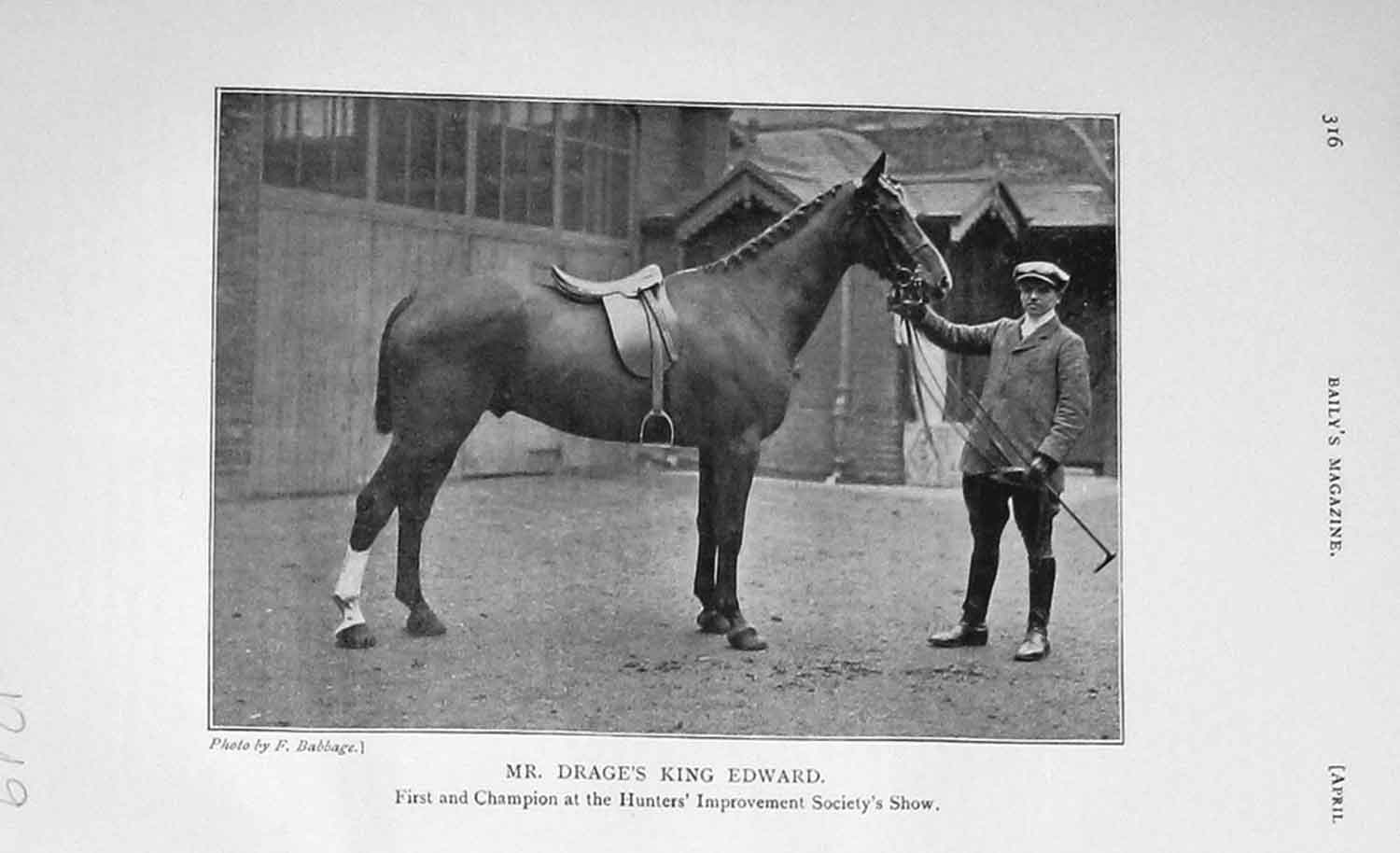 Old Antique Print 1906 Photograph Mr Drage King Edward Horse Hunter Show 20th