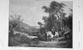 Original Old Antique Print 1906 Country Horse Trees Walter Gibley 20th Century
