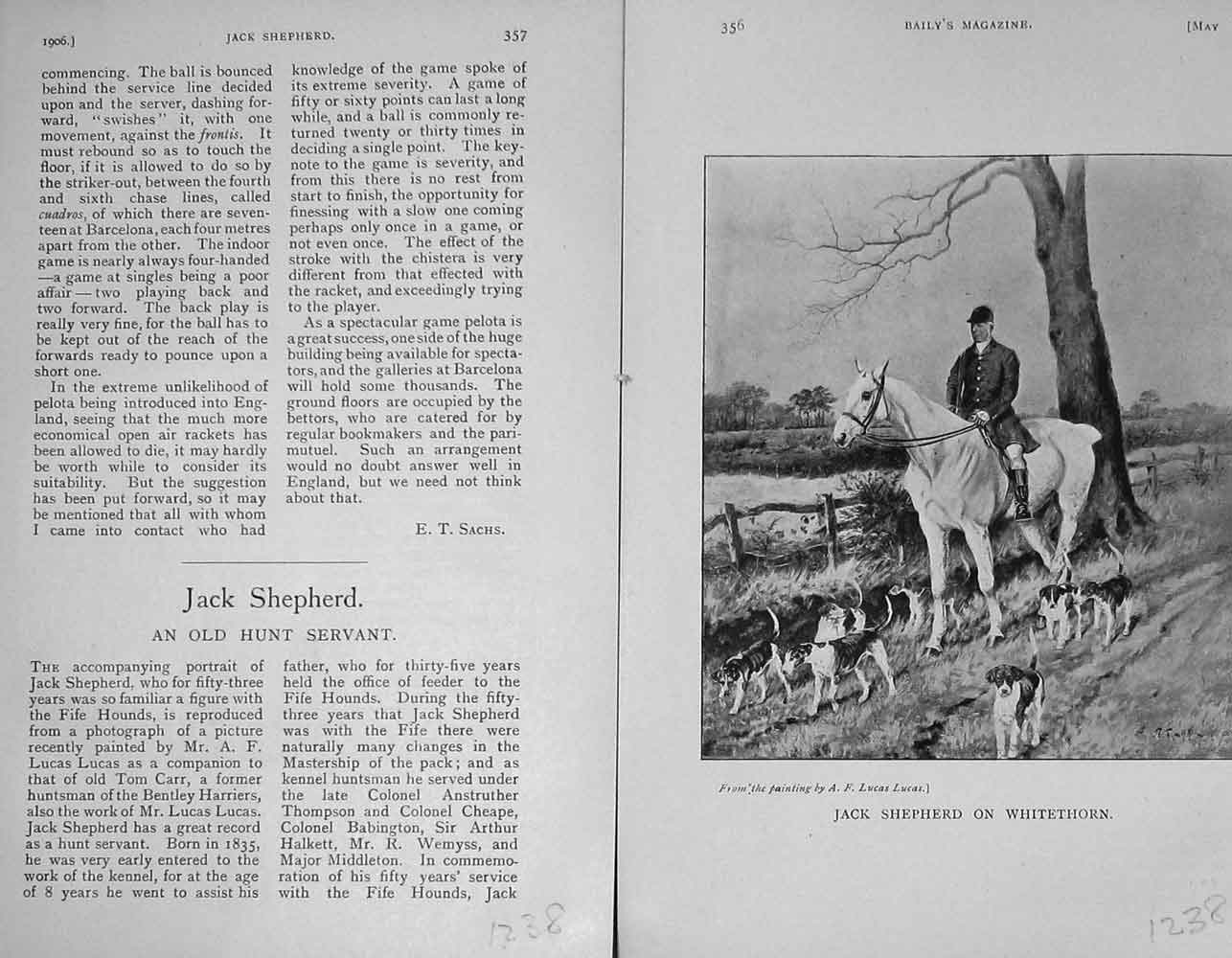 Original Old Antique Print 1906 Portrait Jack Shepherd Whitethorn Horse 20th