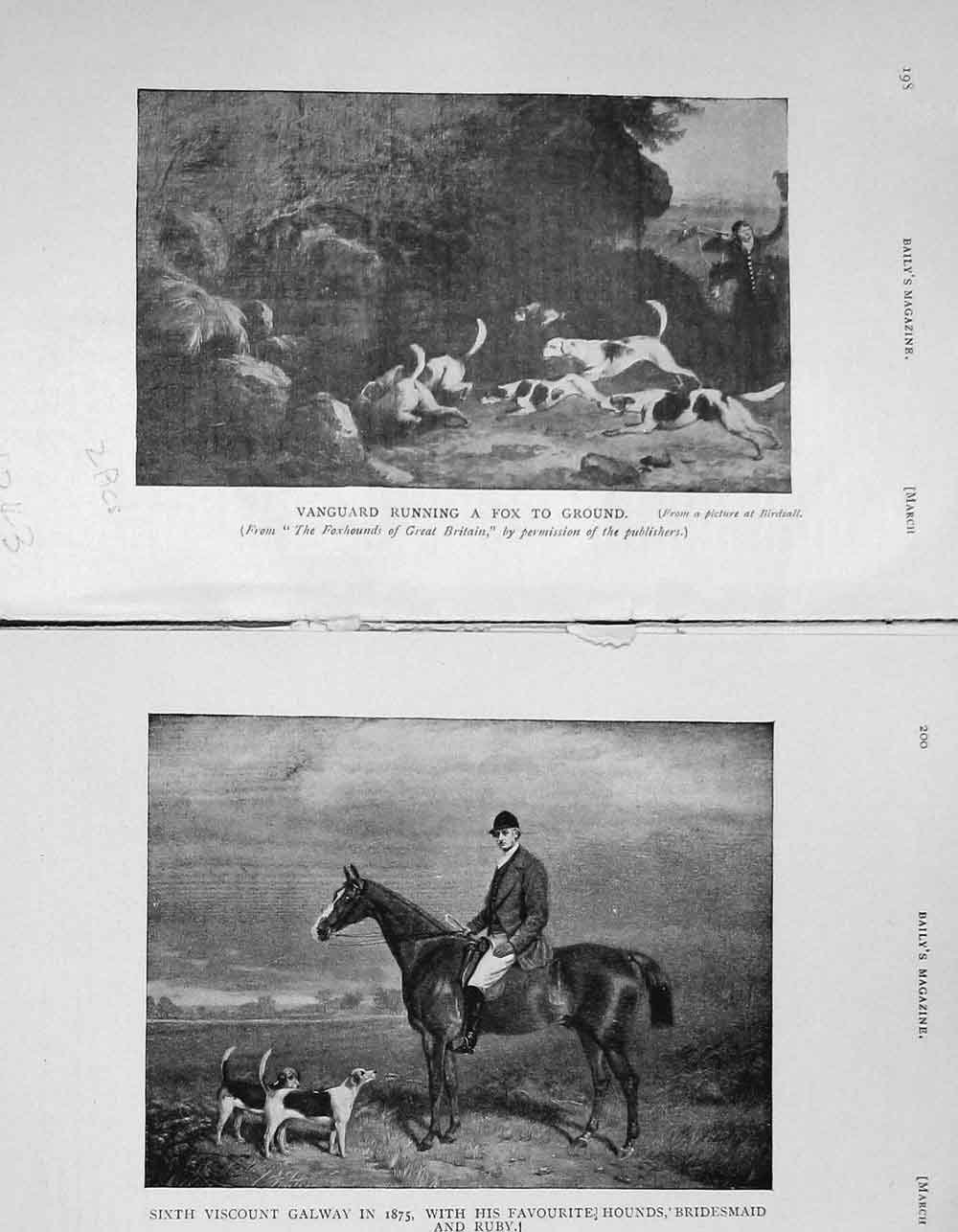 Old Antique Print 1906 Fox Hunting Vanguard Dogs Galway Bridesmaid Ruby 20th