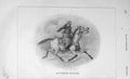 Original Old Antique Print 1906 Eastern Charger Horse Man Weapon 20th Century