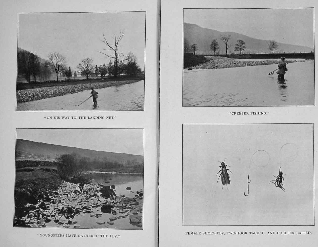 Original Old Antique Print 1906 Photograph Fly Fishing Shore-Fly Angling 20th