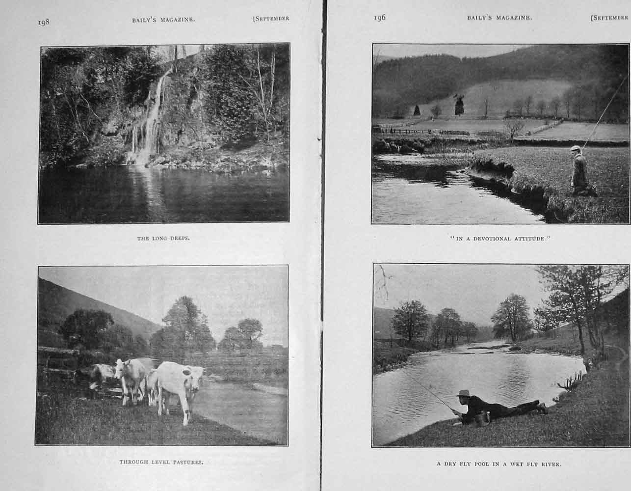Original Old Antique Print 1906 Photograph River Fishing Angling Cattle 20th