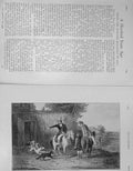 Original Old Antique Print 1906 Hunting Sport Dogs Men Horses 20th Century