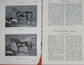 Original Old Antique Print 1907 Horses Harkaway Hetman Platoff 20th Century