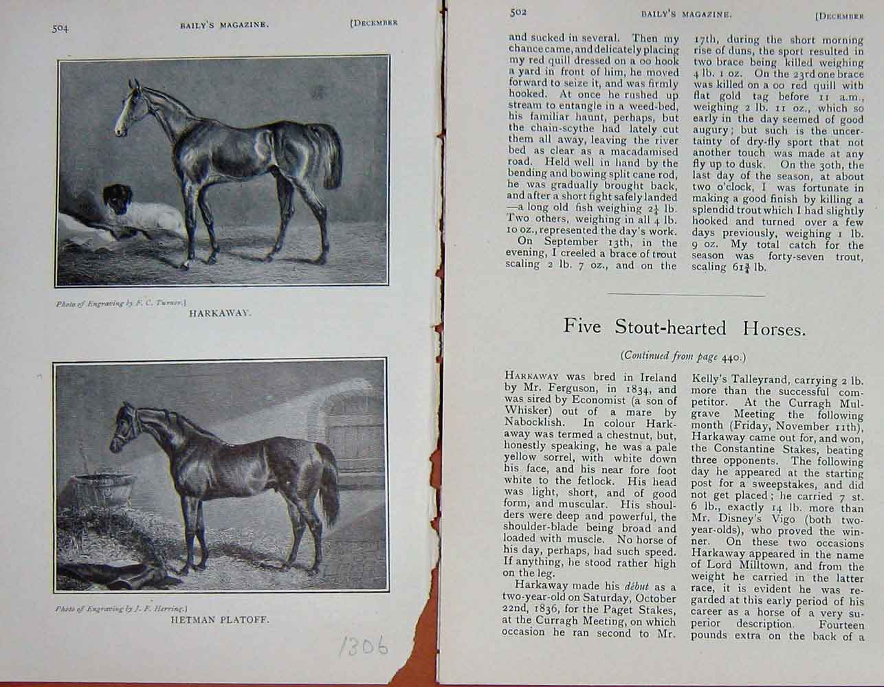 Original Old Antique Print 1907 Horses Harkaway Hetman Platoff 20th Century