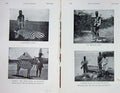 Original Old Antique Print 1907 Photograph Burchell'S Zebra Tommy Naivasha