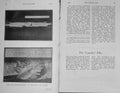 Original Old Antique Print 1907 Photograph Fish Pike Baily'S Magazine 20th