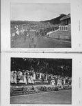 Original Old Antique Print 1907 Photograph Goodwood Horse Racing Plantation