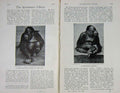 Original Old Antique Print 1907 Photograph Monkey Zoo Baily'S Magazine 20th