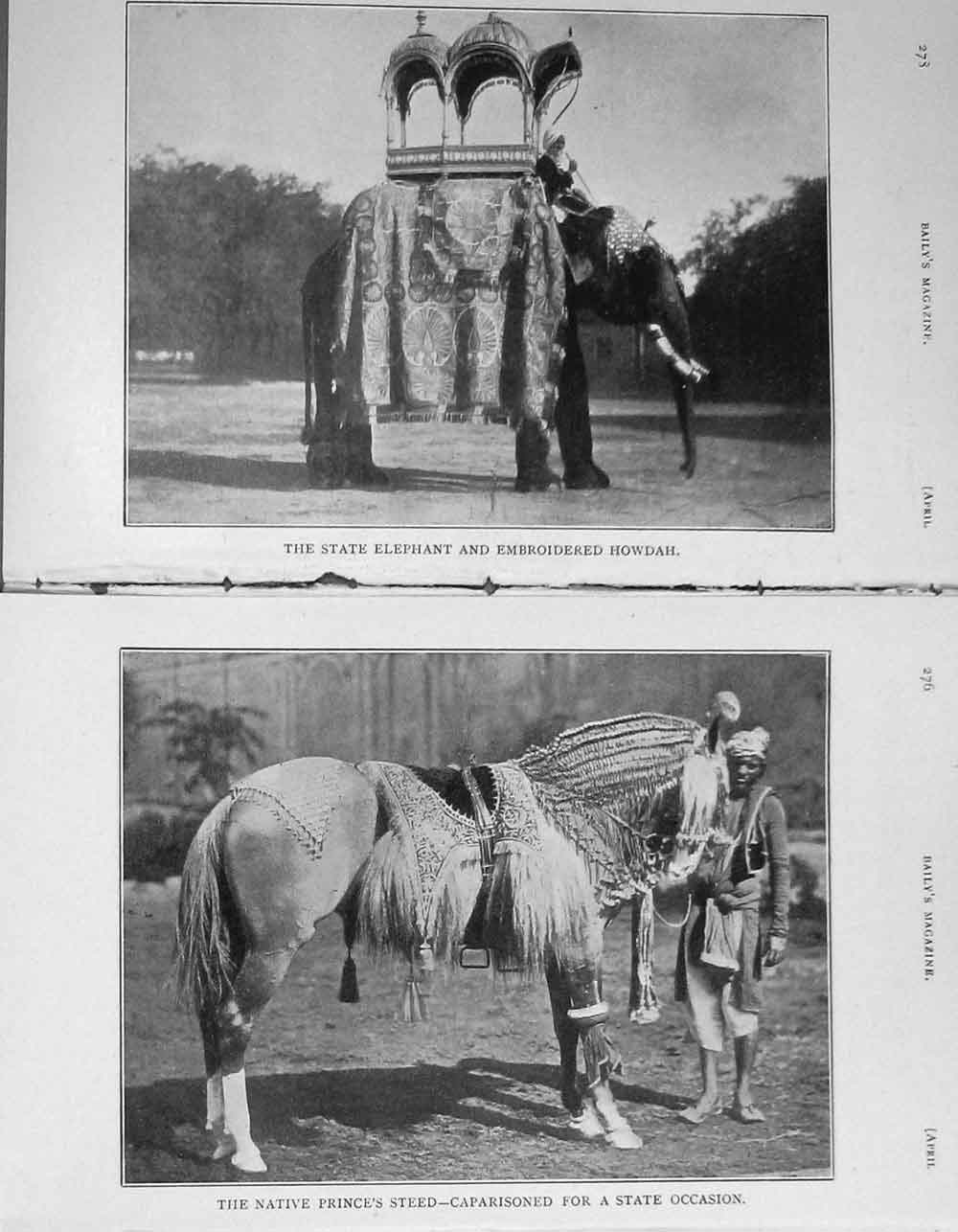Original Old Antique Print 1907 State Elephant Howdah Native Prince Horse Rajah