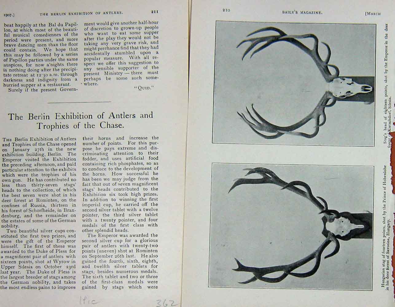 Original Old Antique Print 1907 Hungarian Stags Head Prince Hohenlohe Hunting