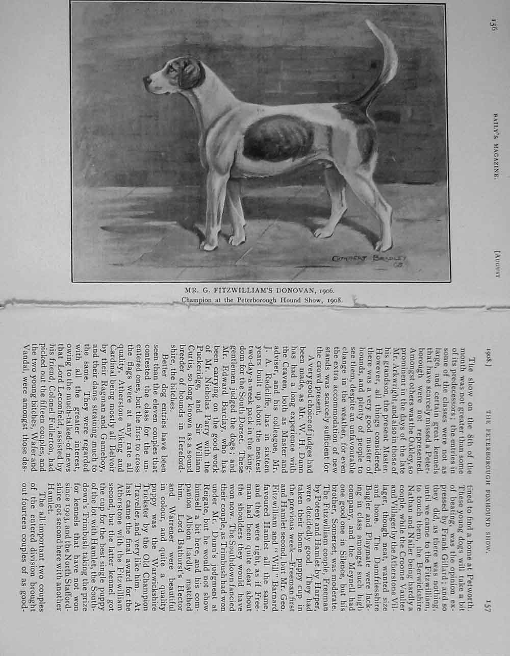 Old Antique Print 1908 Fitzwilliam'S Donovan Hound Dog Peterborough Show 20th